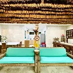 Lavender Star House H